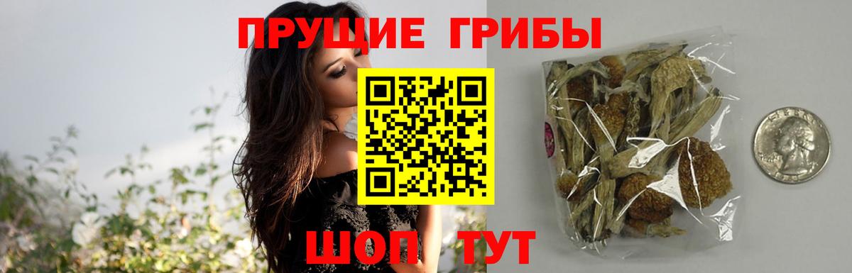 Псилоцибиновые грибы мухоморы Рязань